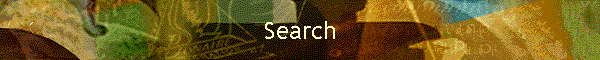 Search