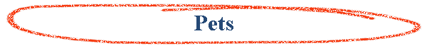 Pets